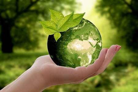 firmy